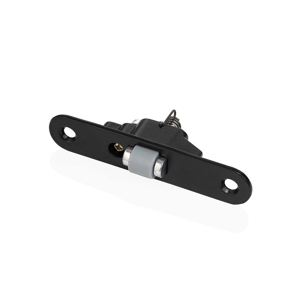 rolik abloy chornyy