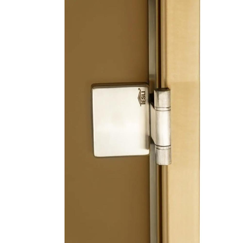 dveri tesli lux magnetic 4